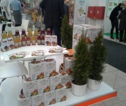 Targi w Czeskich Budziejowicach