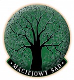 Jarmark Bożonarodzeniowy w Brukseli