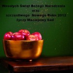 Wesołych Świąt Bożego Narodzenia i szczęśliwego Nowego Roku dla naszych stałych oraz przyszłych klientów